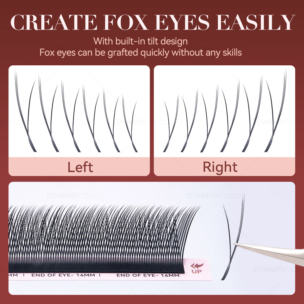DAMMAN 0.07 D Curl FOX YY Eyelash Extension