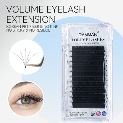 Damman Camellia Eyelash Extension