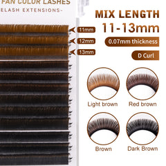 DAMMAN 0.07 D Curl Colors Easy Fans Eyelash Extensions