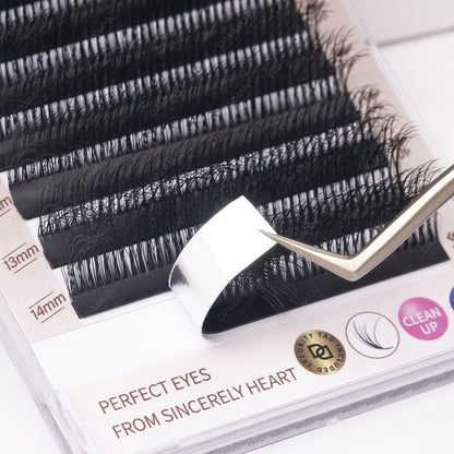 DAMMAN 0.07 LC 3D Multi-Layer Camellia Eyelash Extensions