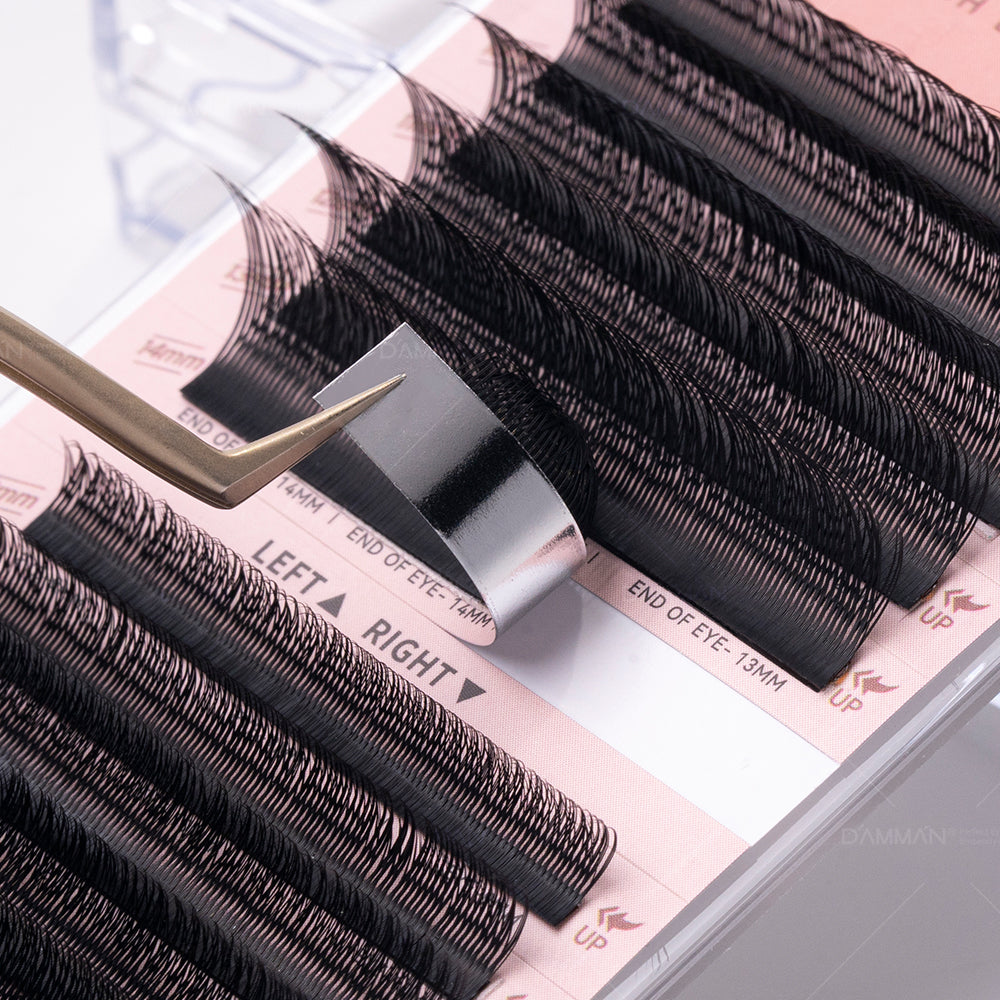 DAMMAN 0.07 D Curl FOX YY Eyelash Extension