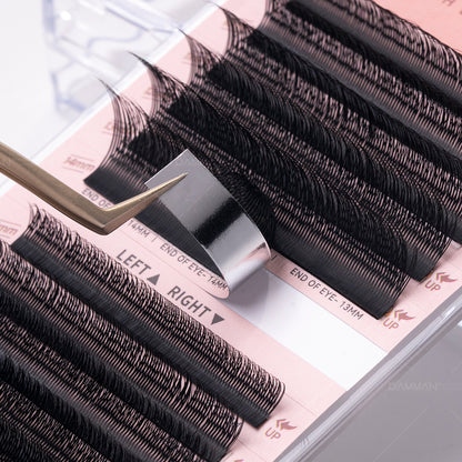 DAMMAN 0.07 D Curl FOX YY Eyelash Extension