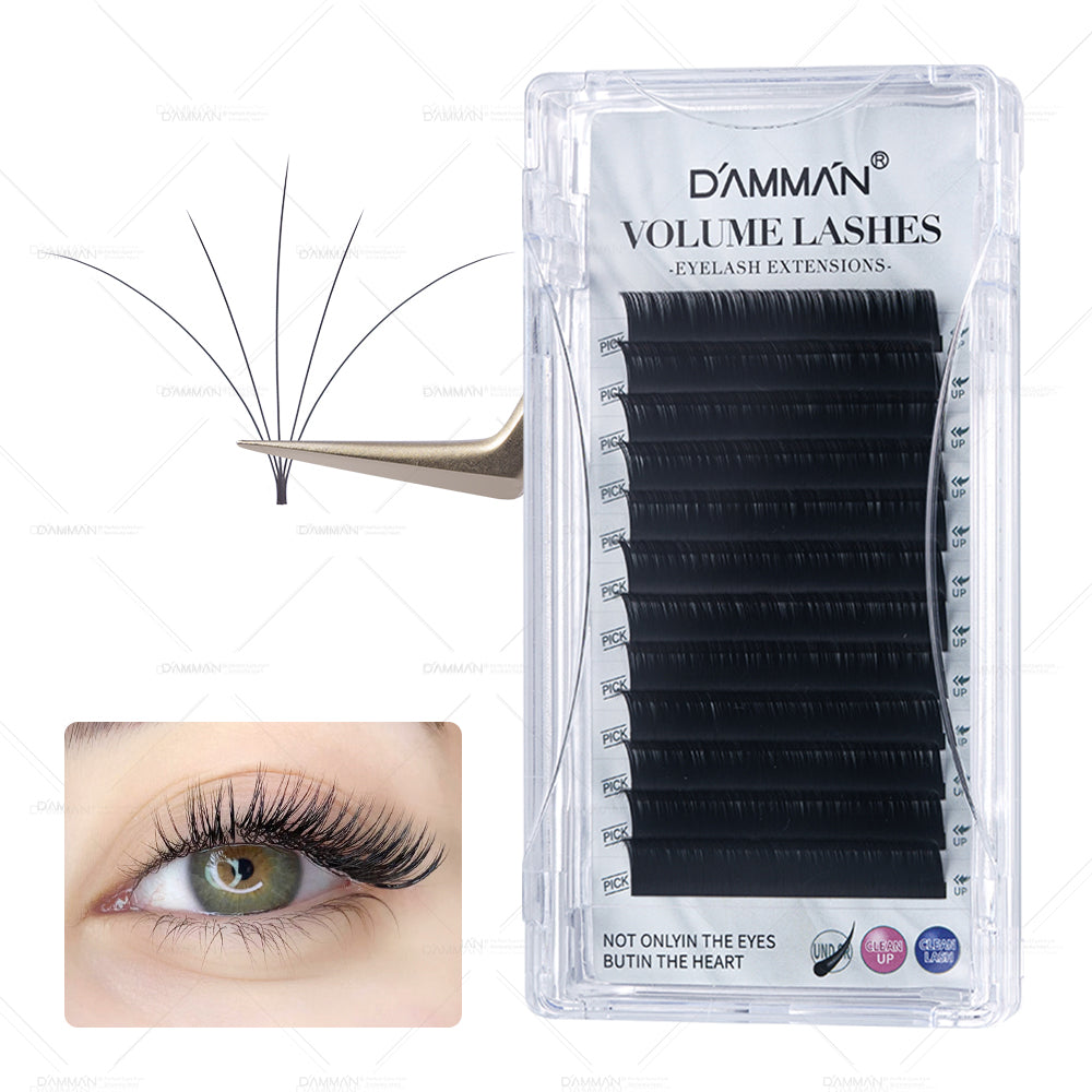 Damman Camellia Eyelash Extension