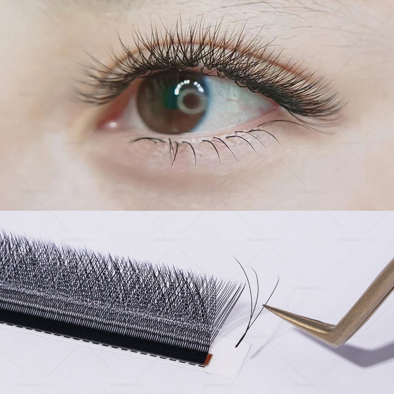 Damman 3D W Eyelash Extension