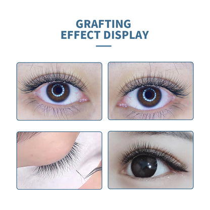 DANIKE 4D W Eyelash Extension(quality)