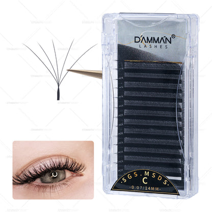 Damman 5D W Eyelash Extension