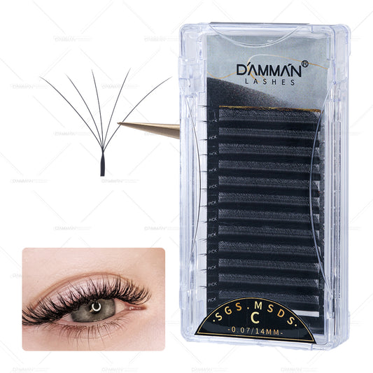 Damman 5D W Eyelash Extension